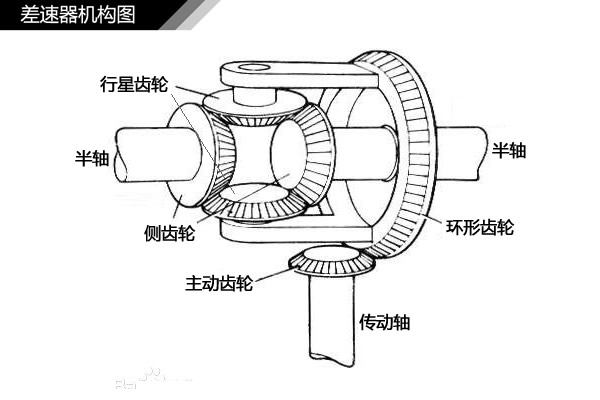 差速器运动简图图片